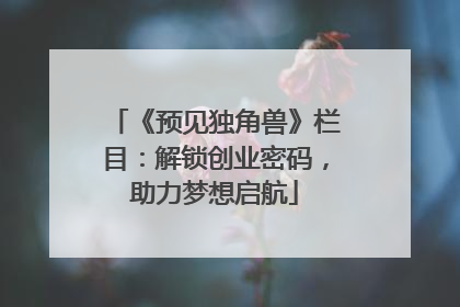 《预见独角兽》栏目：解锁创业密码，助力梦想启航
